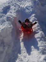 f:id:nemuzou:20111231114532j:image:left