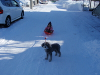 f:id:nemuzou:20111231120228j:image:left