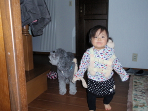 f:id:nemuzou:20120101143850j:image:left