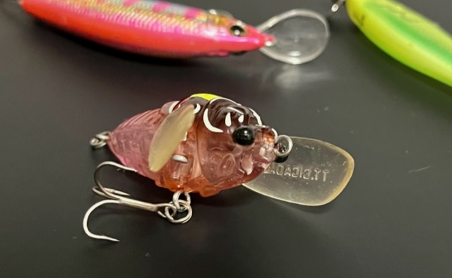セミ系ルアーは動かすか放置するか - Train-Fishing