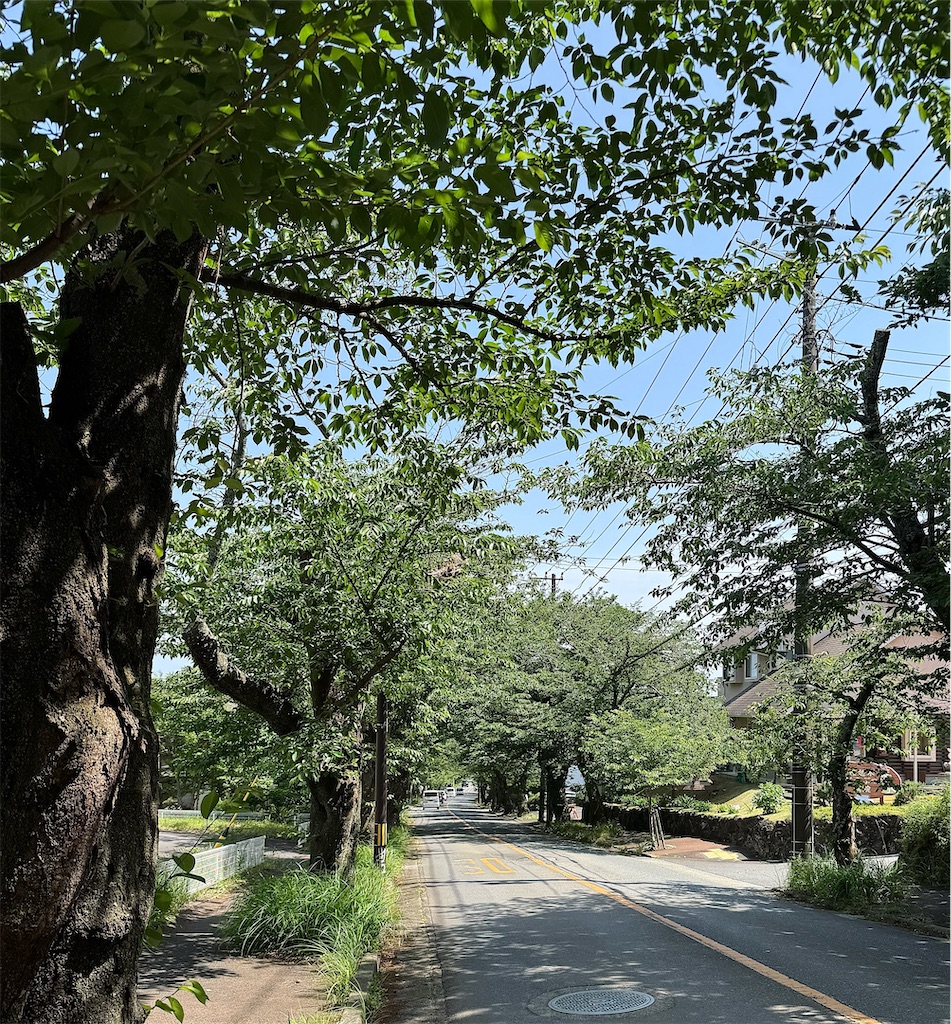f:id:nendozaiku:20250809021752j:image