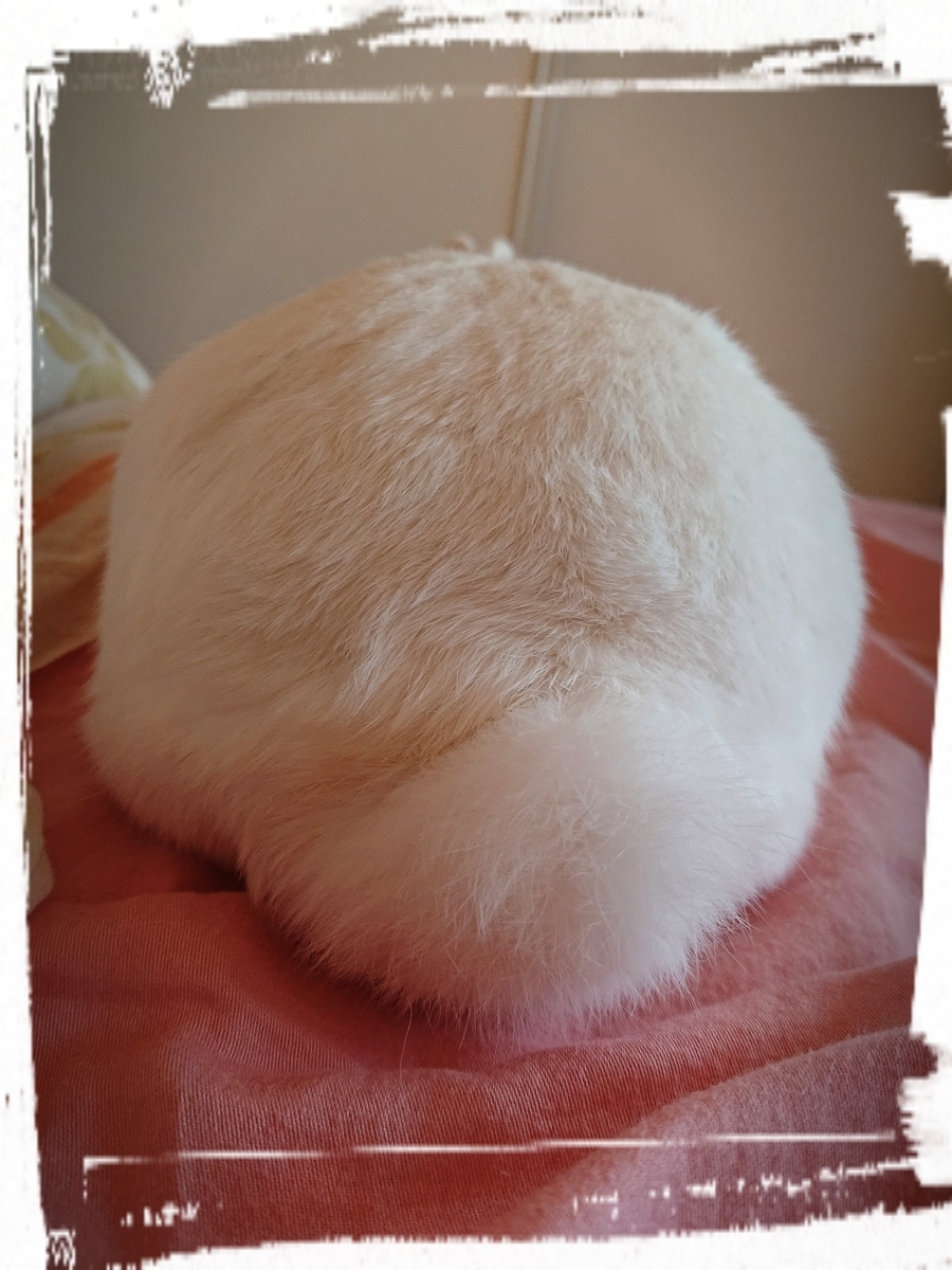 f:id:nenemimi:20190822074125j:plain f:id:nenemimi:20190822074125j:plain