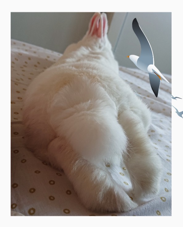 f:id:nenemimi:20190822080326j:plain f:id:nenemimi:20190822080326j:plain