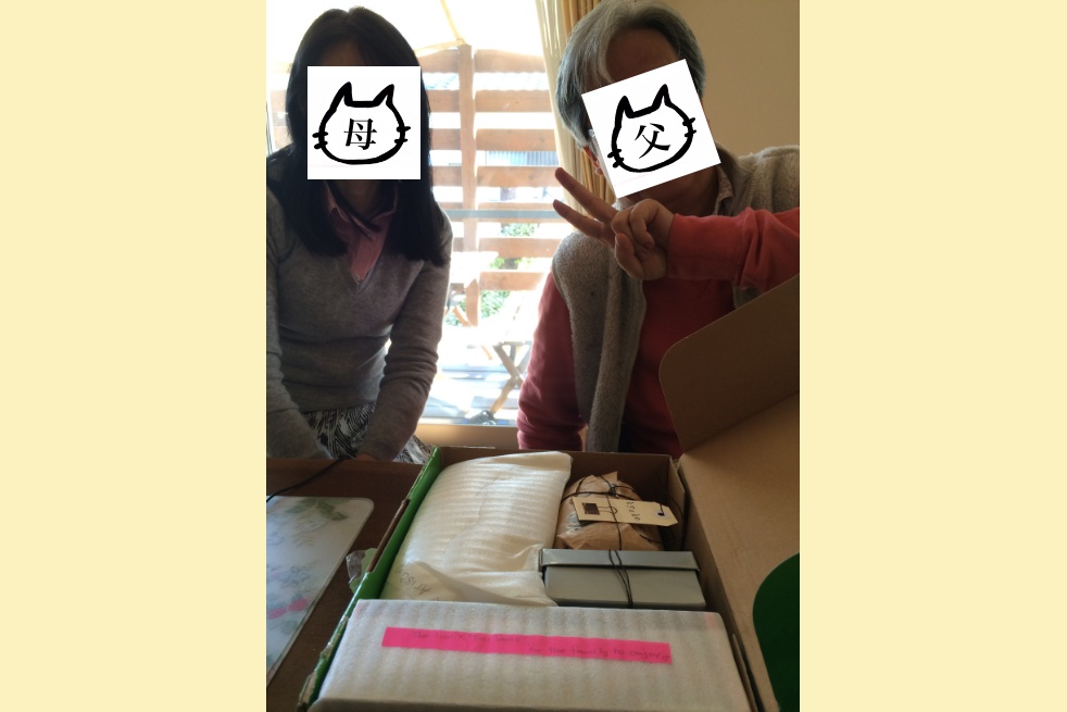 f:id:nenenekojima:20180410232652j:plain f:id:nenenekojima:20180410232652j:plain