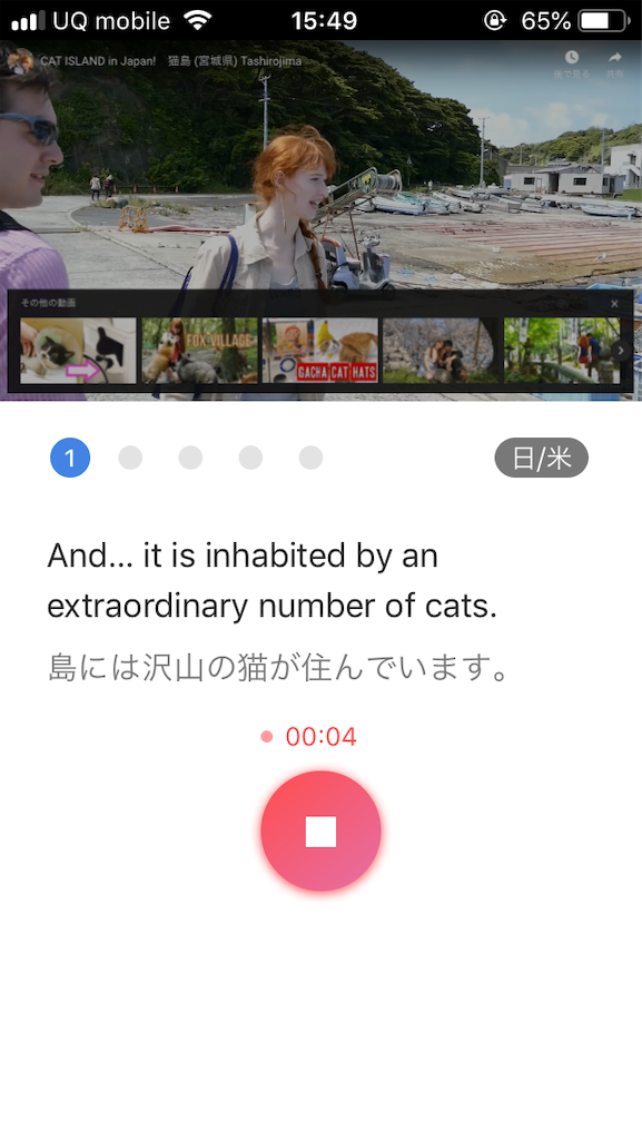 f:id:nenenekojima:20190110173801p:image f:id:nenenekojima:20190110173801p:image