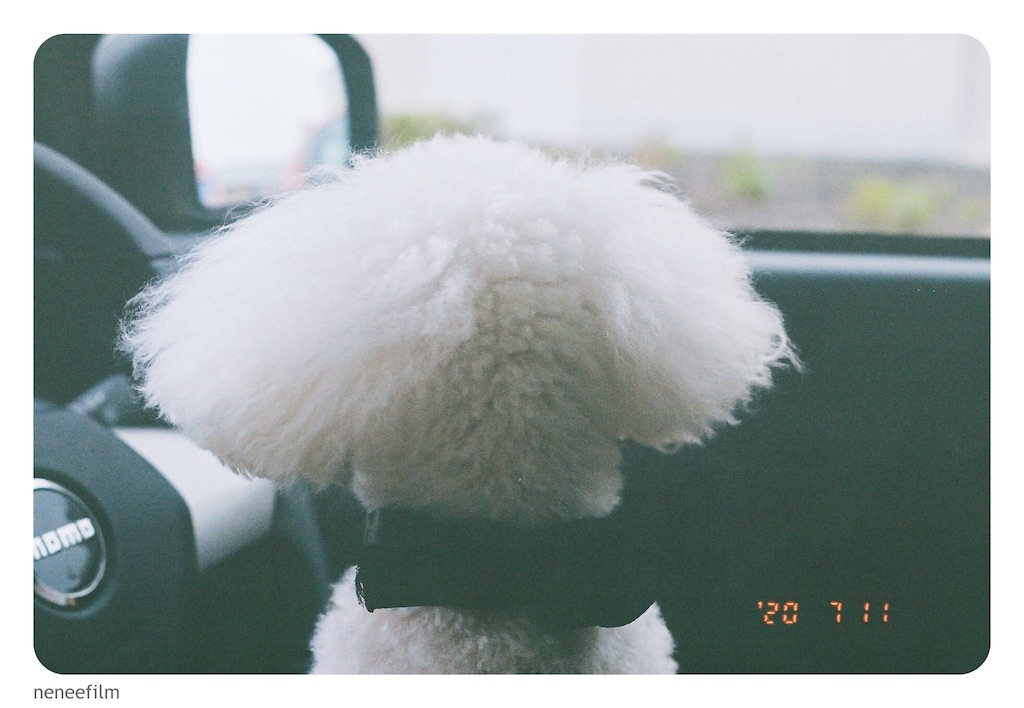 f:id:neneqn:20200721214313j:image