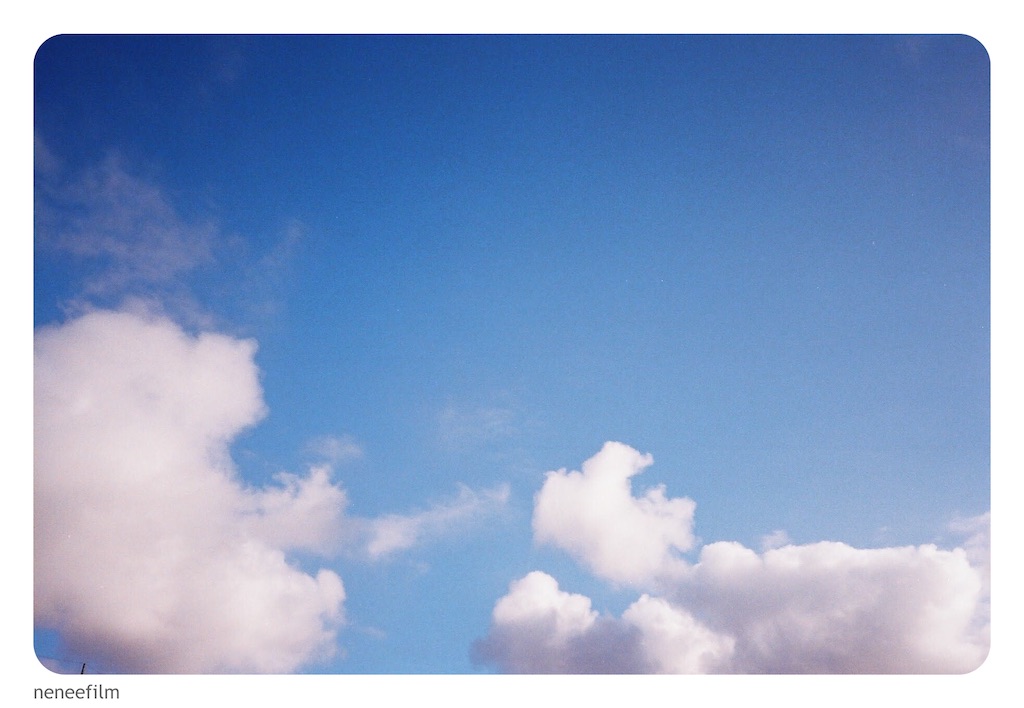 f:id:neneqn:20200904153544j:image