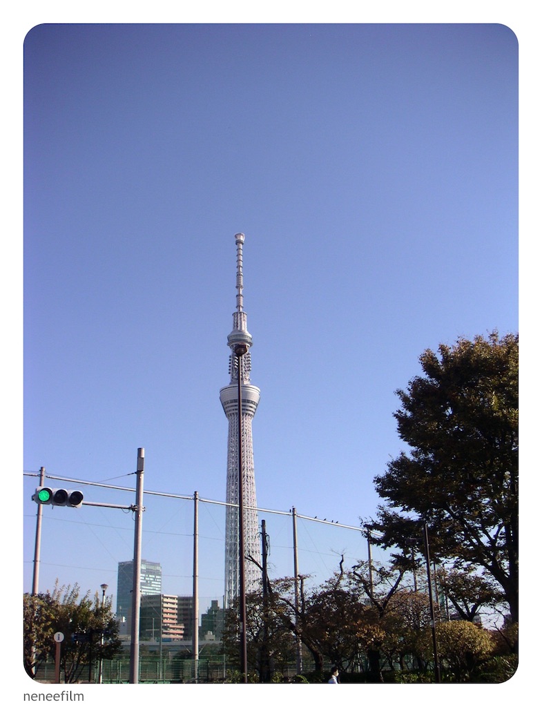 f:id:neneqn:20231112205529j:image