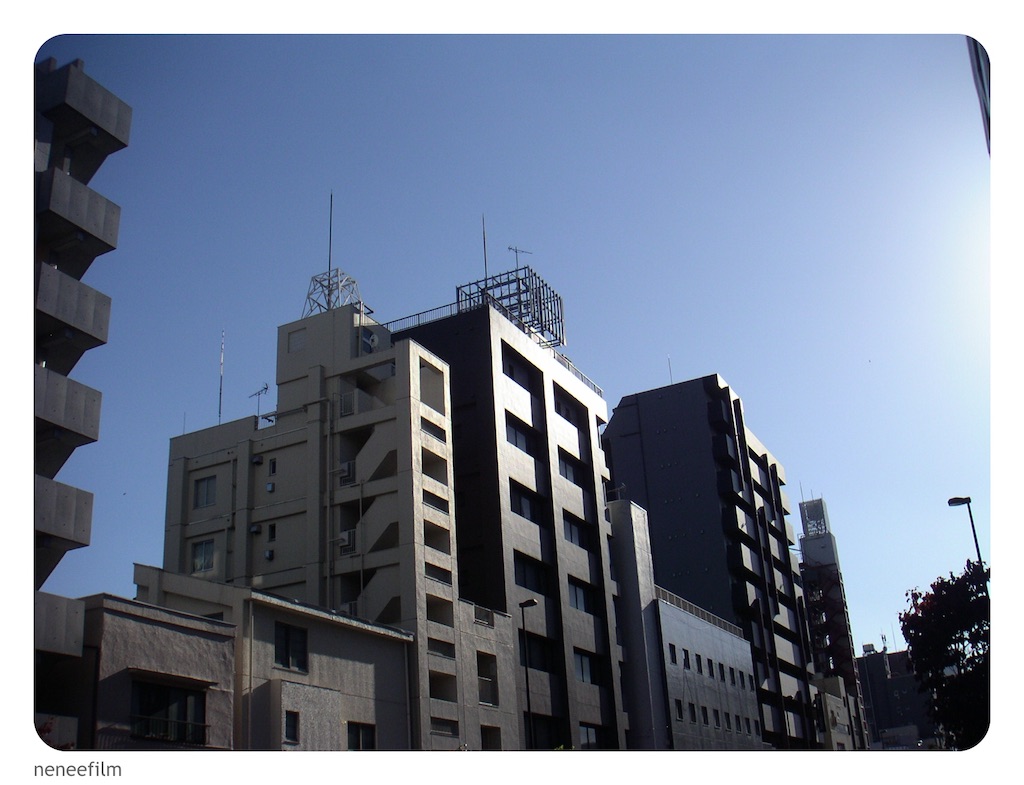 f:id:neneqn:20231112205532j:image