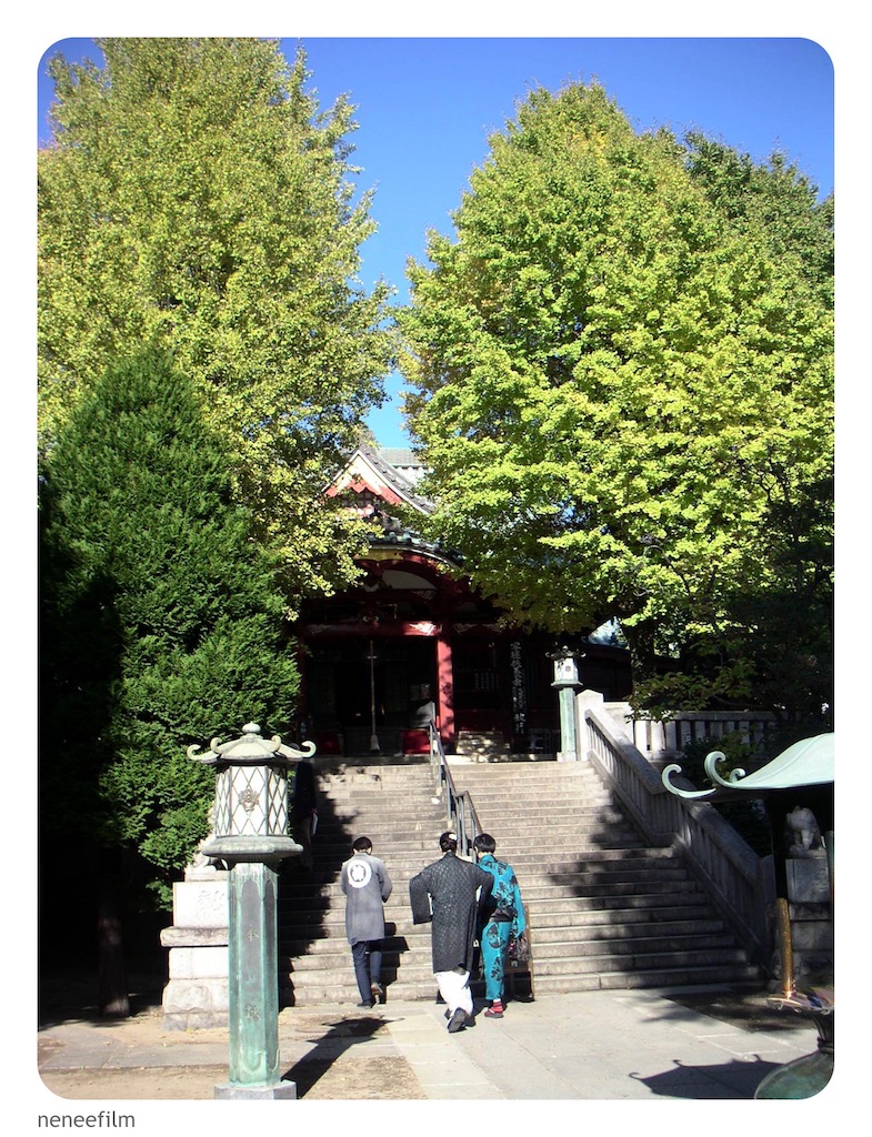 f:id:neneqn:20231112205536j:image