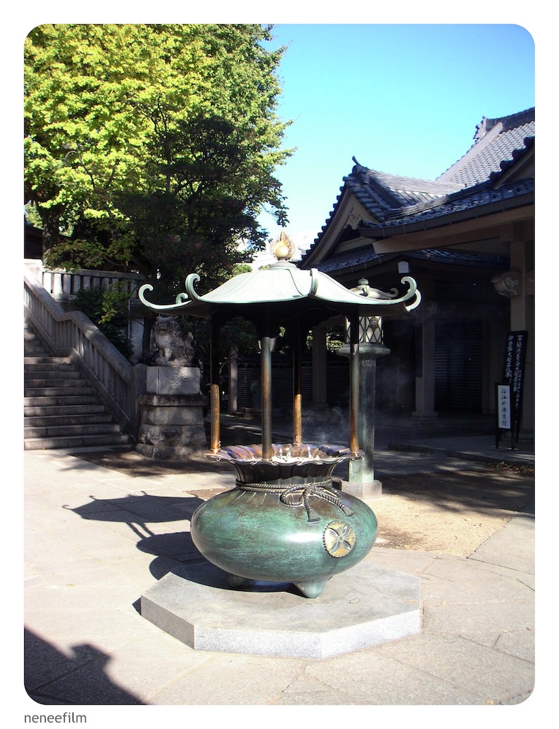 f:id:neneqn:20231112205540j:image