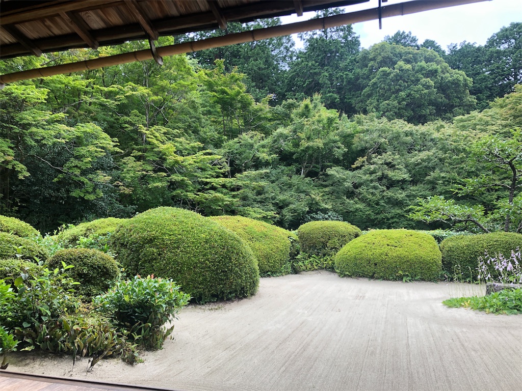 f:id:nenesan22:20190725210157j:image