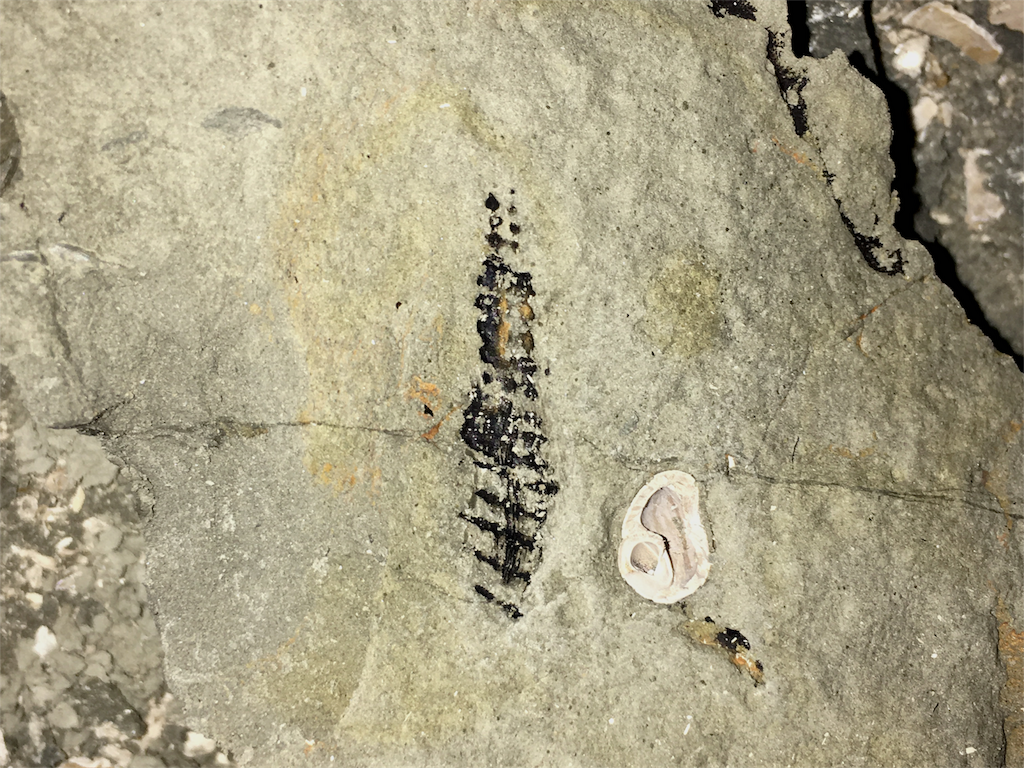 f:id:nenjin:20171106070920p:image