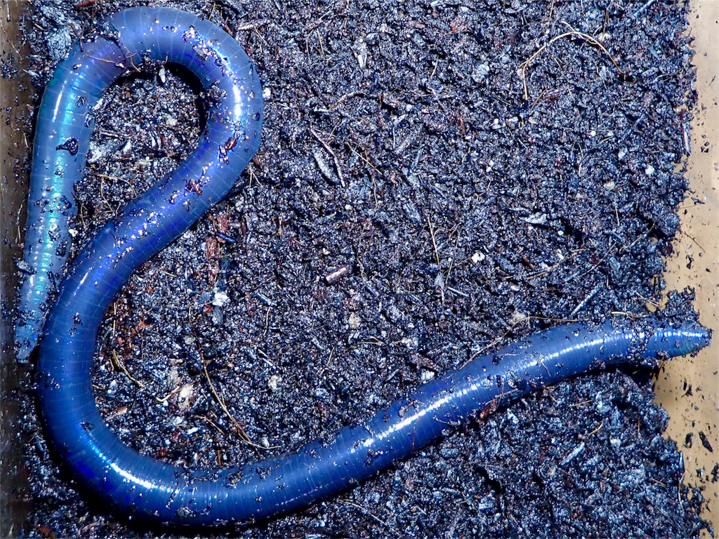 f:id:nenjin:20180421105033p:image