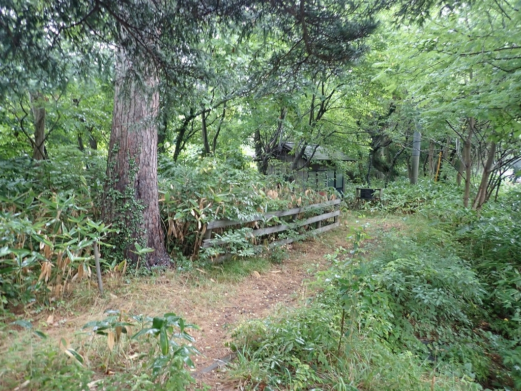 f:id:nenjin:20180831233339j:plain f:id:nenjin:20180831233339j:plain