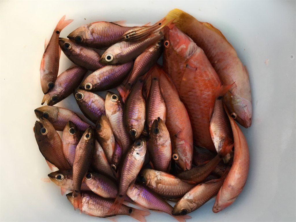 f:id:nenjin:20190124110104p:image f:id:nenjin:20190124110104p:image