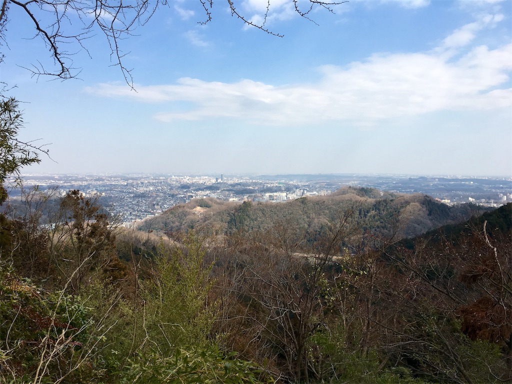 f:id:nenjin:20190307164220j:image f:id:nenjin:20190307164220j:image