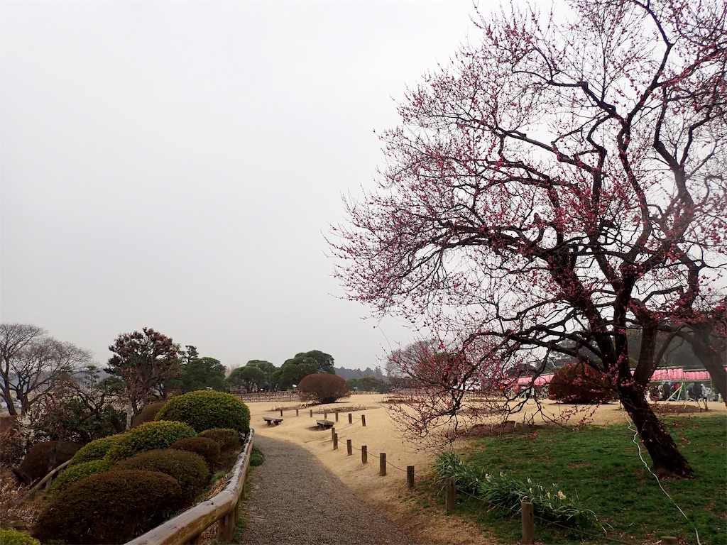 f:id:nenjin:20190308085900j:image f:id:nenjin:20190308085900j:image