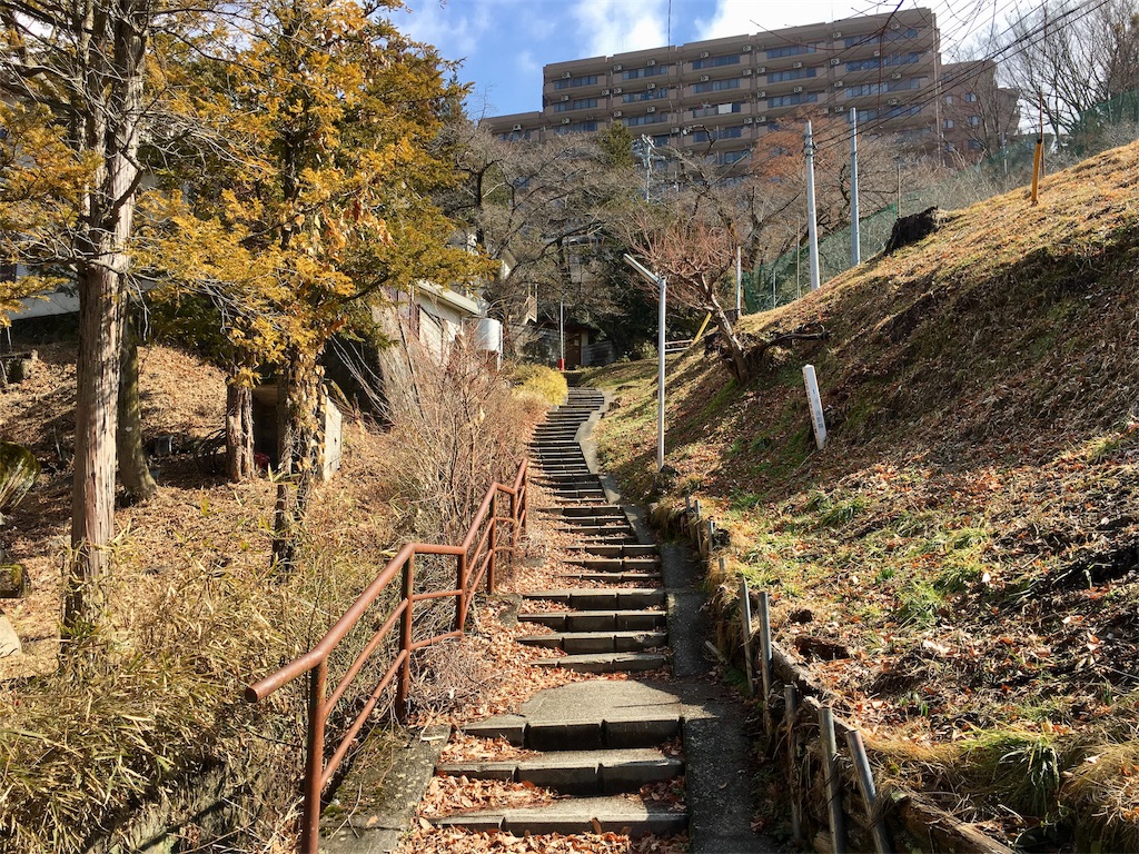 f:id:nenjin:20190313084006j:image