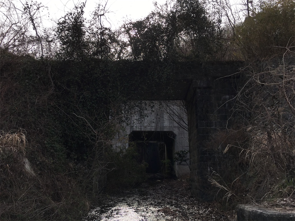 f:id:nenjin:20190320161806j:image