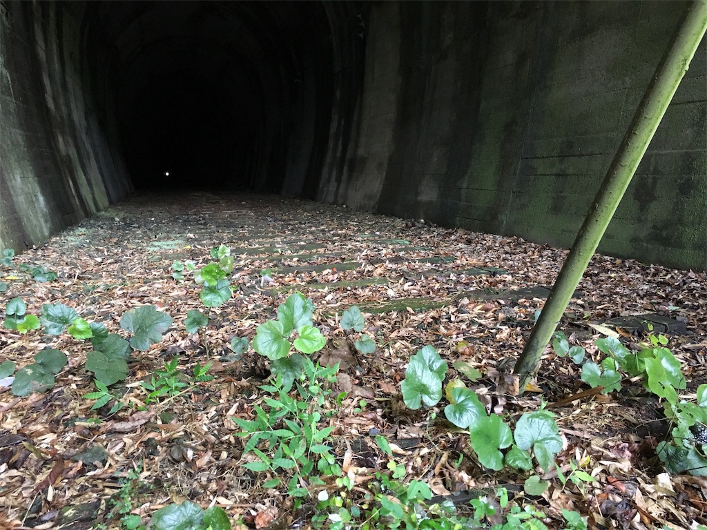 f:id:nenjin:20190812094701j:image