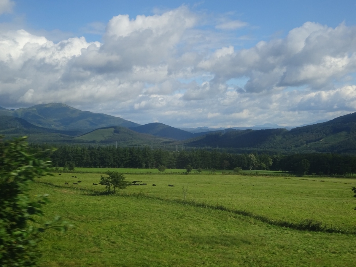 f:id:nenjin:20190819221948j:plain