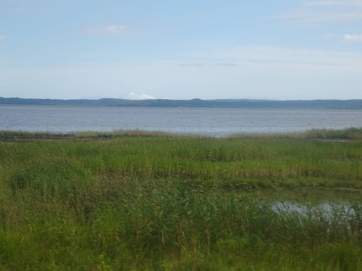 f:id:nenjin:20190819222204j:plain