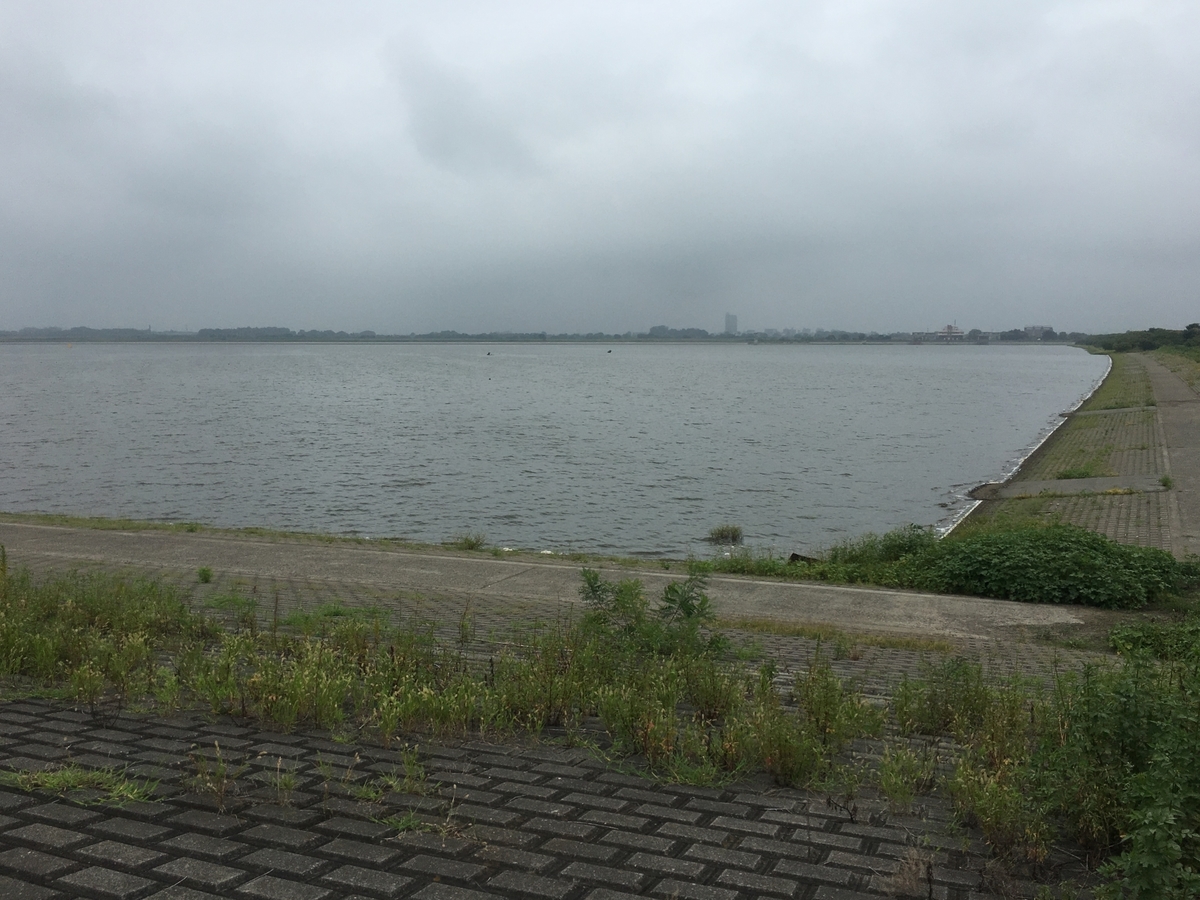 f:id:nenjin:20190917221805j:plain