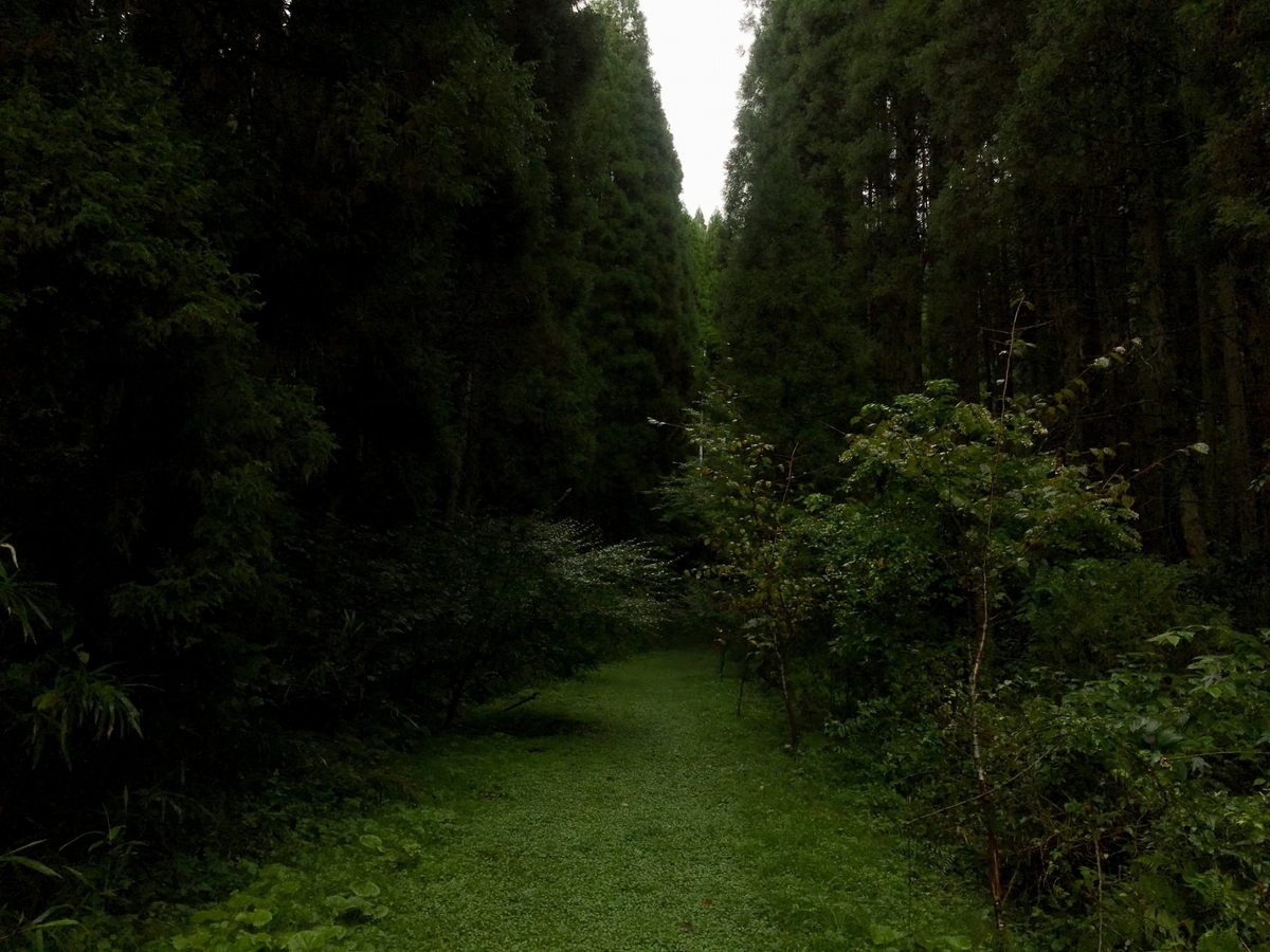 f:id:nenjin:20190926191815j:plain