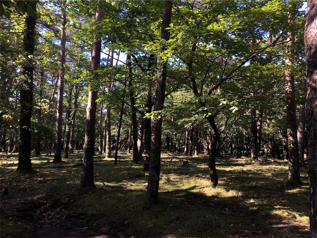 f:id:nenjin:20191008220325j:image