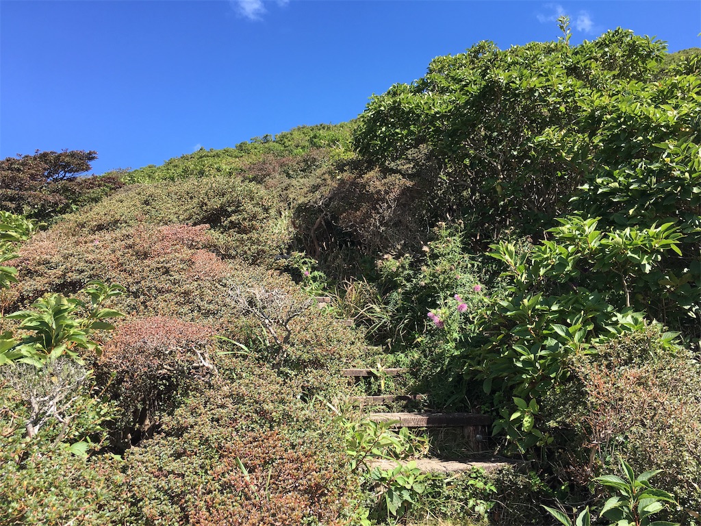 f:id:nenjin:20191008222741j:image