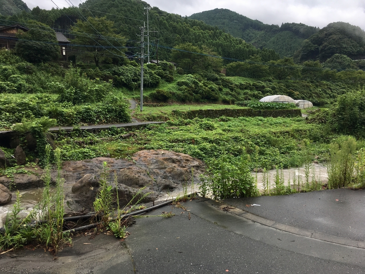 f:id:nenjin:20191105234546j:plain f:id:nenjin:20191105234546j:plain