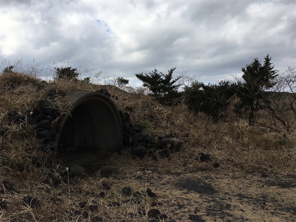 f:id:nenjin:20200103231952j:image