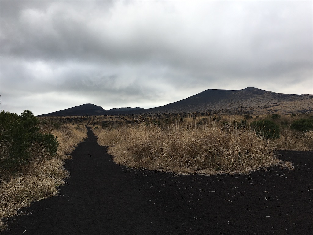 f:id:nenjin:20200103234342j:image