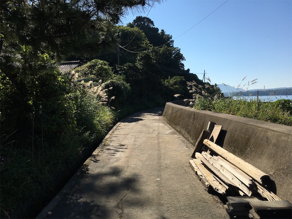 f:id:nenjin:20201128014713j:image