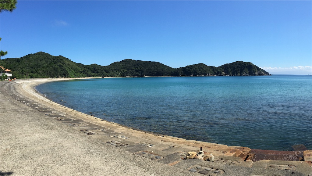 f:id:nenjin:20210905135345j:image f:id:nenjin:20210905135345j:image