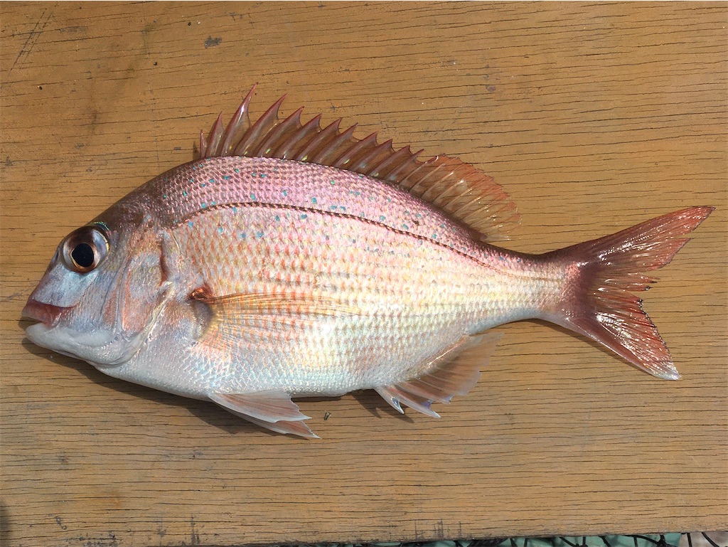 f:id:nenjin:20210907014745j:plain