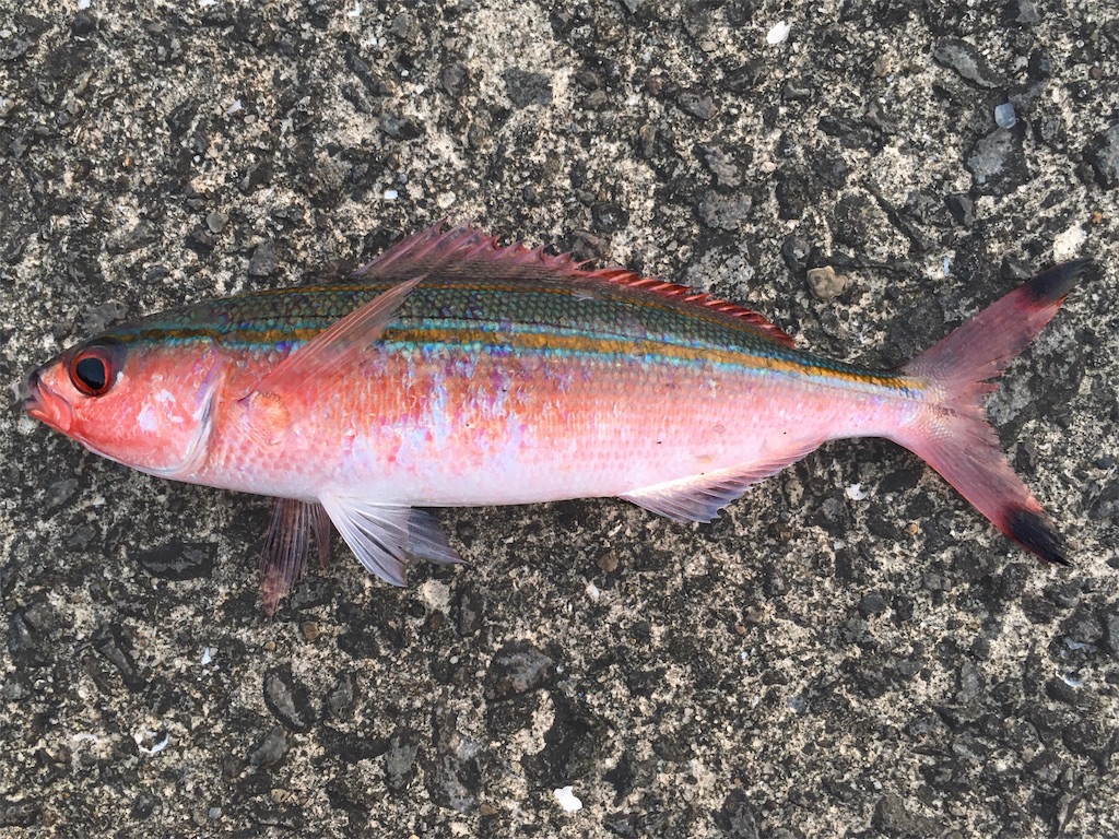 f:id:nenjin:20210907015832j:plain