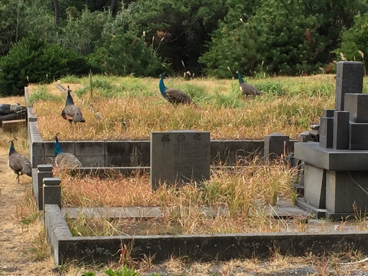 f:id:nenjin:20220115140943j:plain