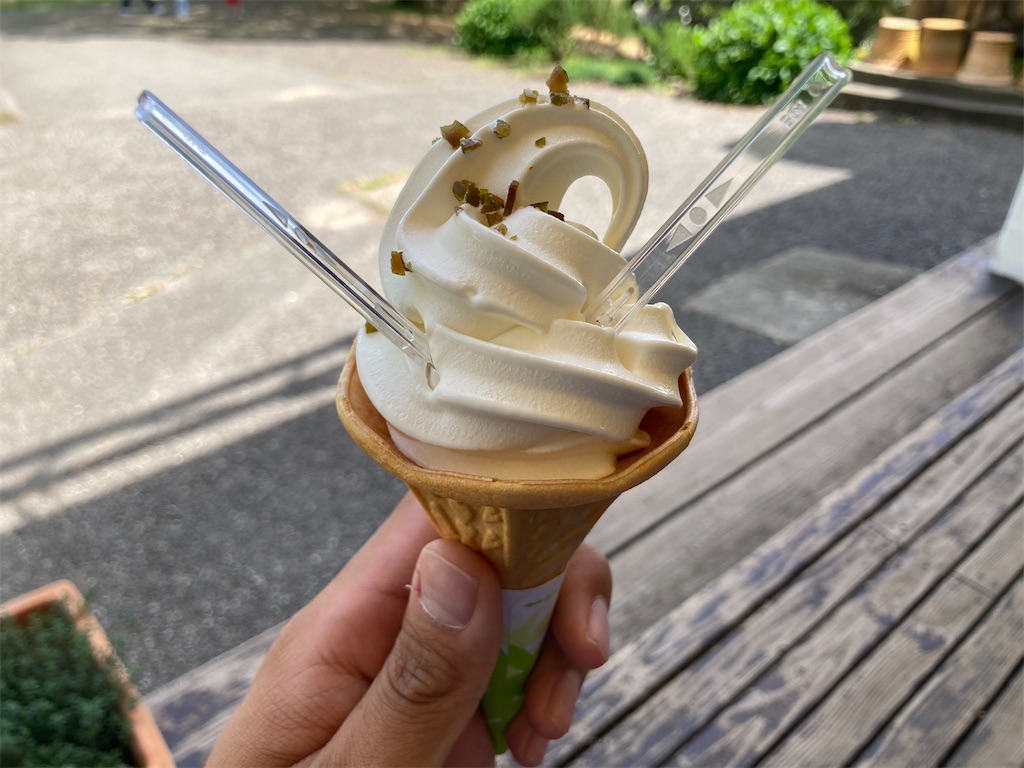 f:id:nenjin:20240516232718j:image f:id:nenjin:20240516232718j:image