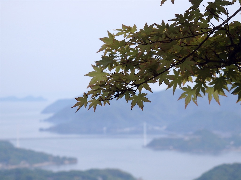 f:id:nenjin:20240517194339j:image f:id:nenjin:20240517194339j:image