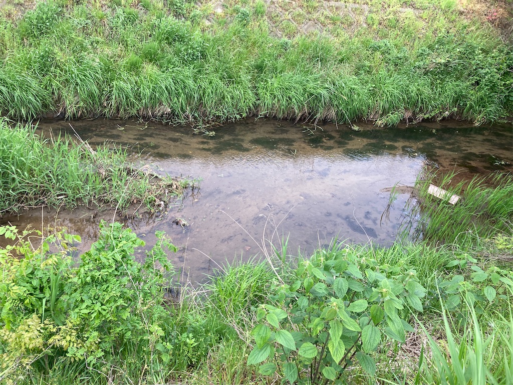 f:id:nenjin:20240522210057j:image