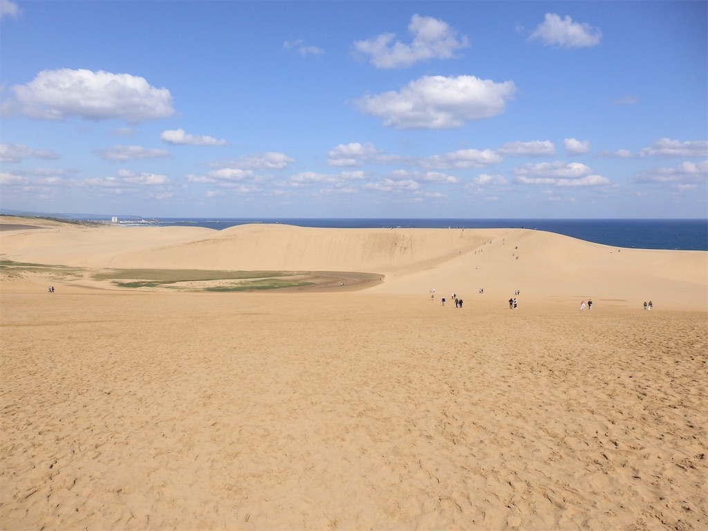 f:id:nenjin:20240522224741j:image