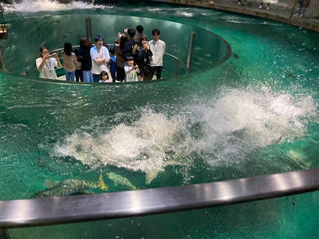 f:id:nenjin:20240523220817j:image