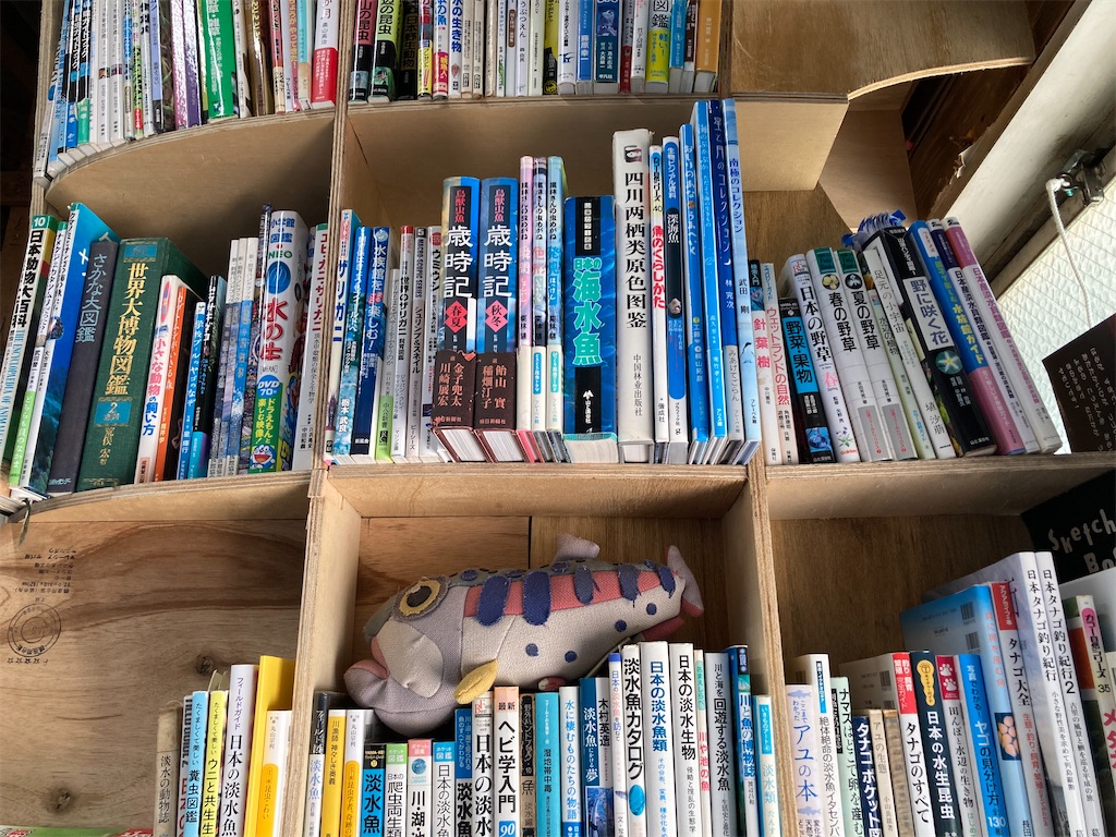 f:id:nenjin:20240524213231j:image