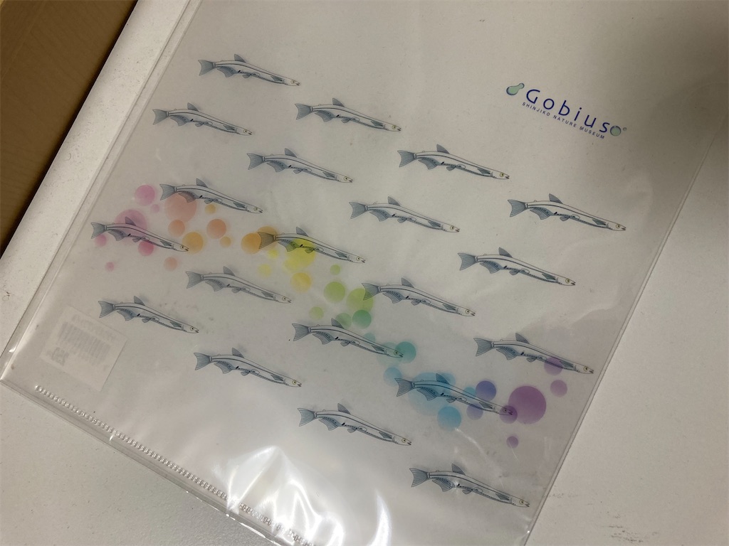 f:id:nenjin:20240527005501j:image