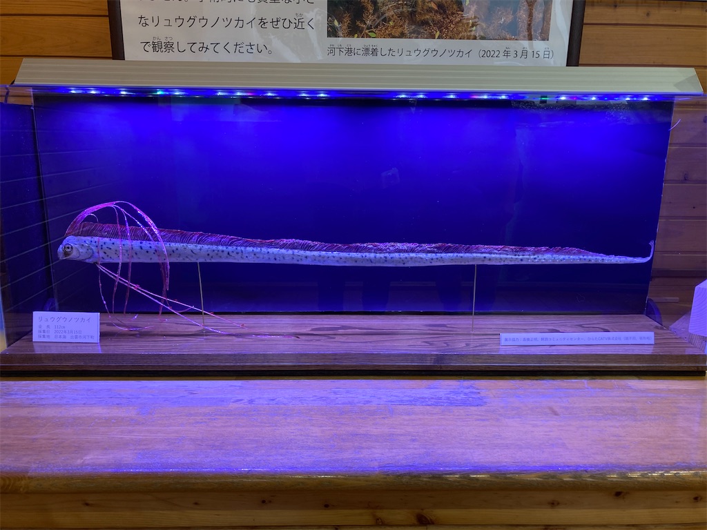 f:id:nenjin:20240527005536j:image