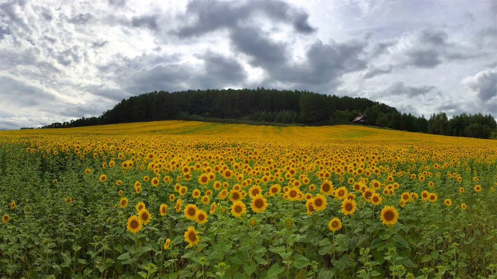 f:id:nenjin:20240830210501j:image