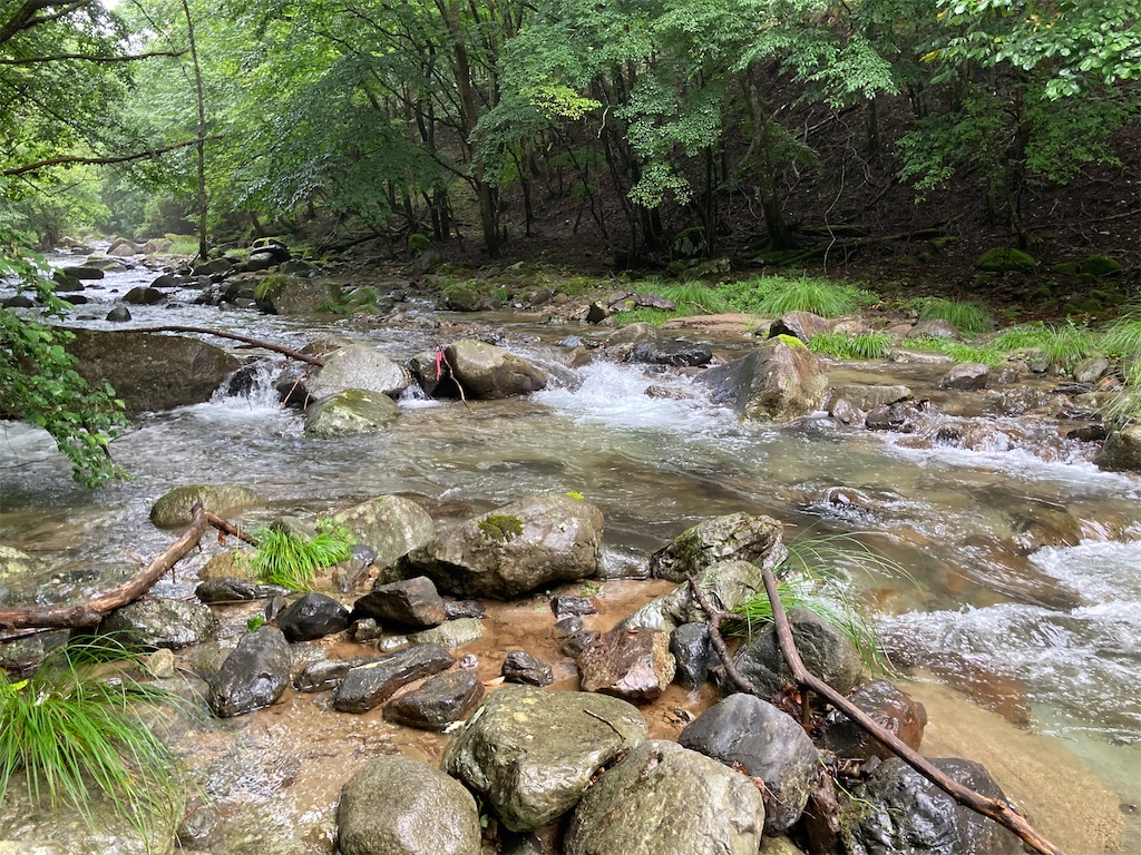 f:id:nenjin:20240902212154j:image