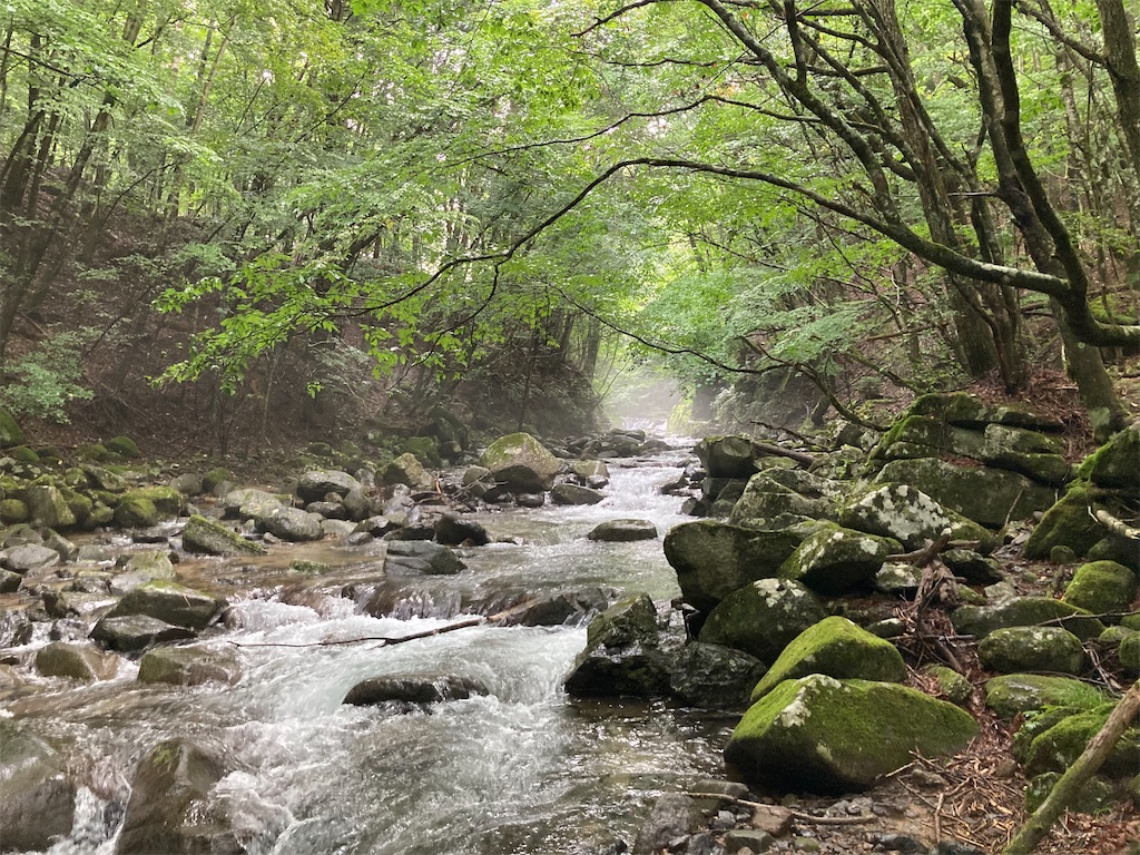 f:id:nenjin:20240902214725j:image